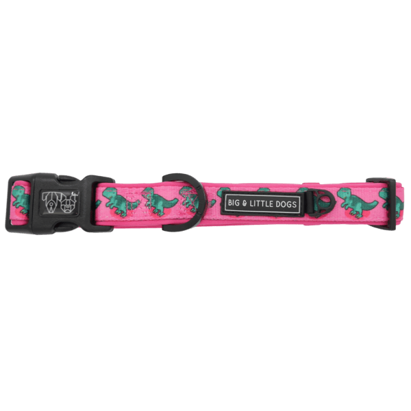 Big & Little Dogs Princess - asaurus Collar & Bow Tie - Collar & Bow Ties from Sale at DoggyTopia