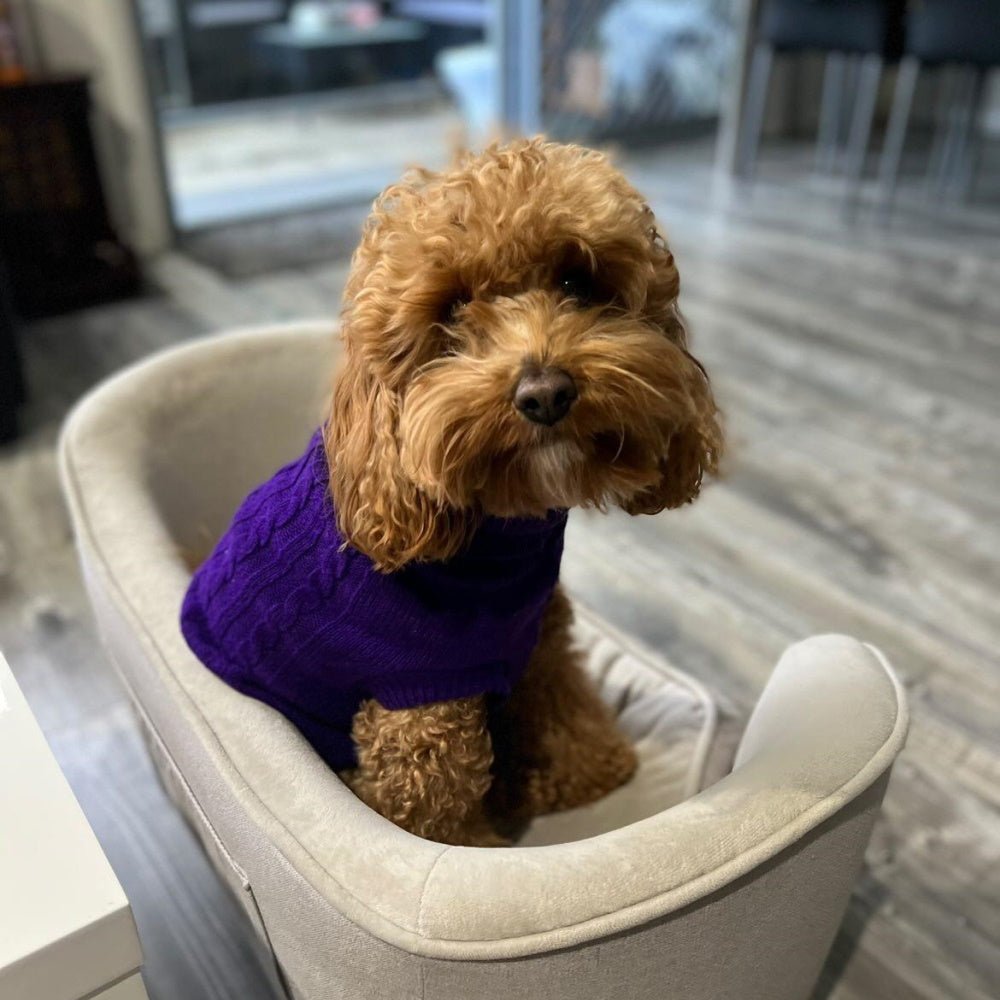 Cable Knit Jumper - Grape - Knit Jumpers from DoggyTopia at DoggyTopia