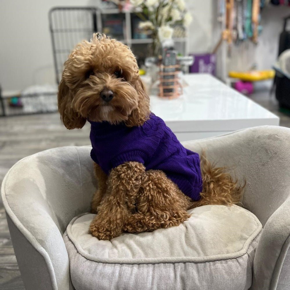 Cable Knit Jumper - Grape - Knit Jumpers from DoggyTopia at DoggyTopia