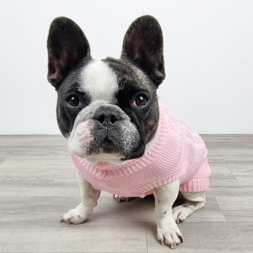 Cable Knit Jumper - Marshmallow - Knit Jumpers from DoggyTopia at DoggyTopia