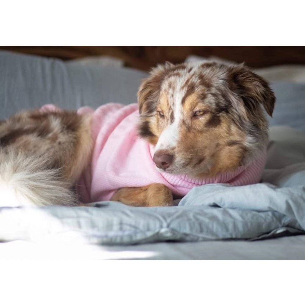Cable Knit Jumper - Marshmallow - Knit Jumpers from DoggyTopia at DoggyTopia