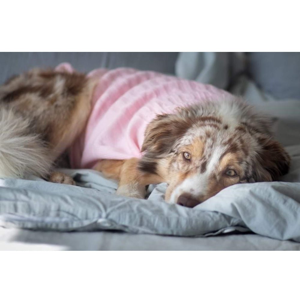 Cable Knit Jumper - Marshmallow - Knit Jumpers from DoggyTopia at DoggyTopia