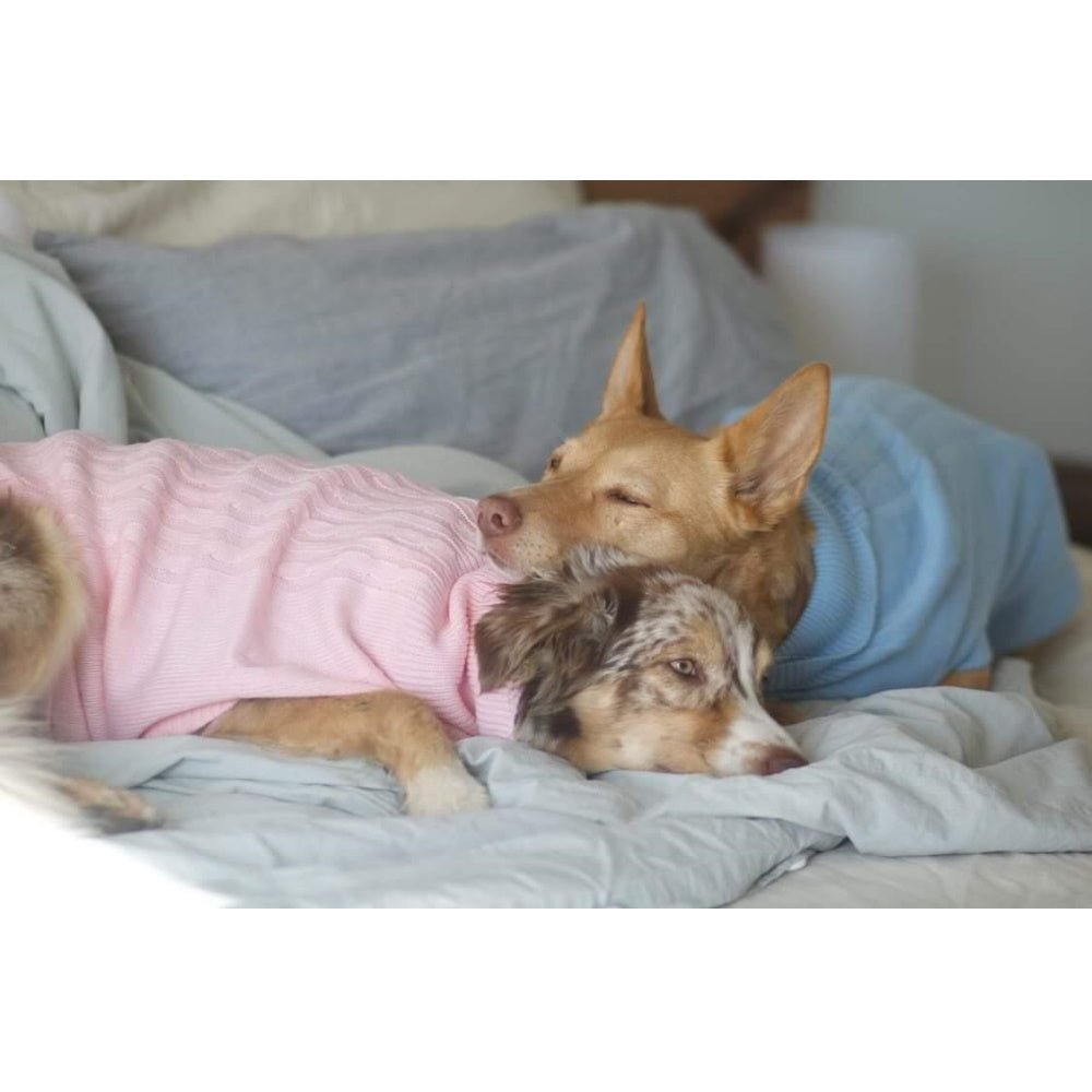 Cable Knit Jumper - Marshmallow - Knit Jumpers from DoggyTopia at DoggyTopia