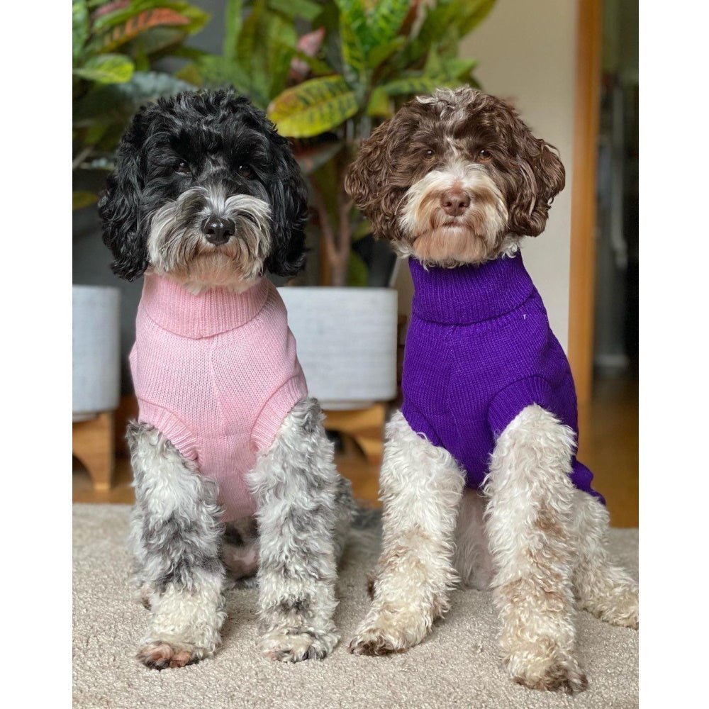 Cable Knit Jumper - Marshmallow - Knit Jumpers from DoggyTopia at DoggyTopia