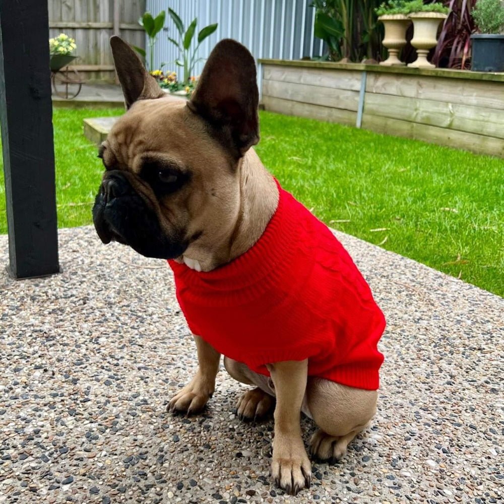 Cable Knit Jumper - Ruby - Knit Jumpers from Sale at DoggyTopia