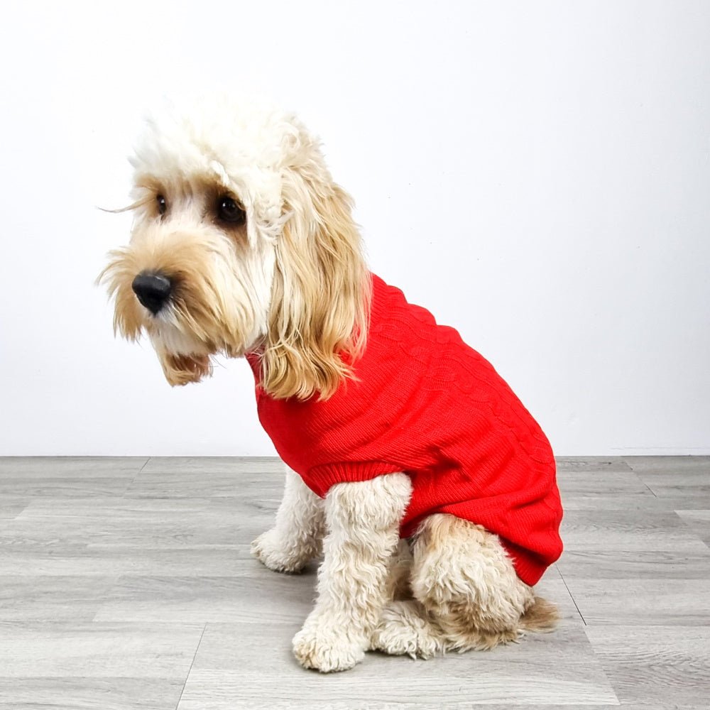 Cable Knit Jumper - Ruby - Knit Jumpers from Sale at DoggyTopia