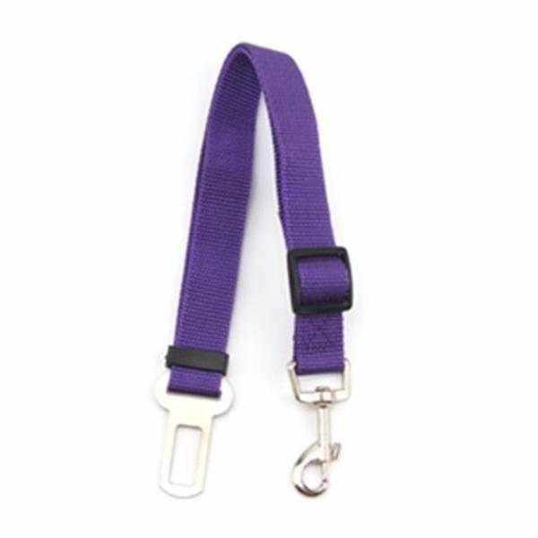 Car Seat Belt Attachment - Car Seat Belts from . at DoggyTopia