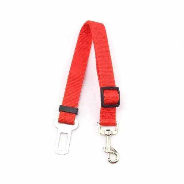 Car Seat Belt Attachment - Car Seat Belts from . at DoggyTopia