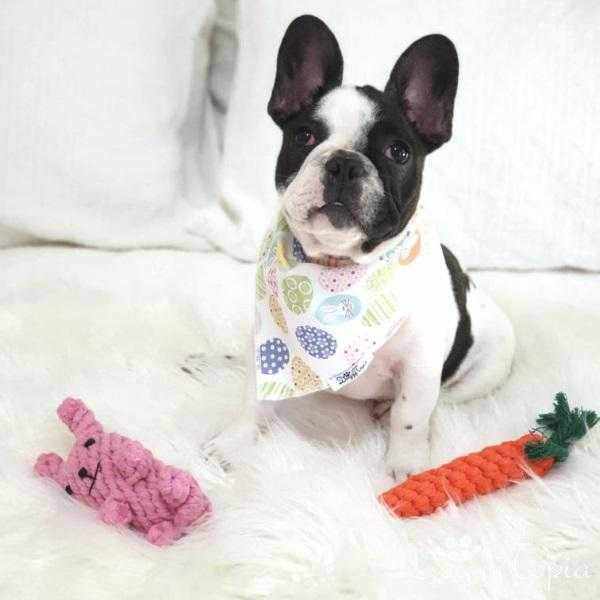 Carrot Rope Dog Toy - Rope Toys from . at DoggyTopia