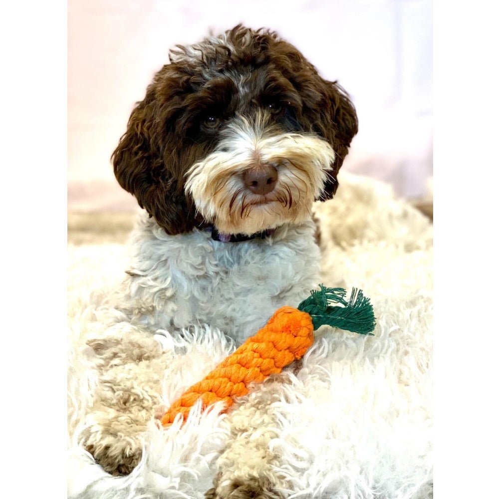 Carrot Rope Dog Toy - Rope Toys from . at DoggyTopia