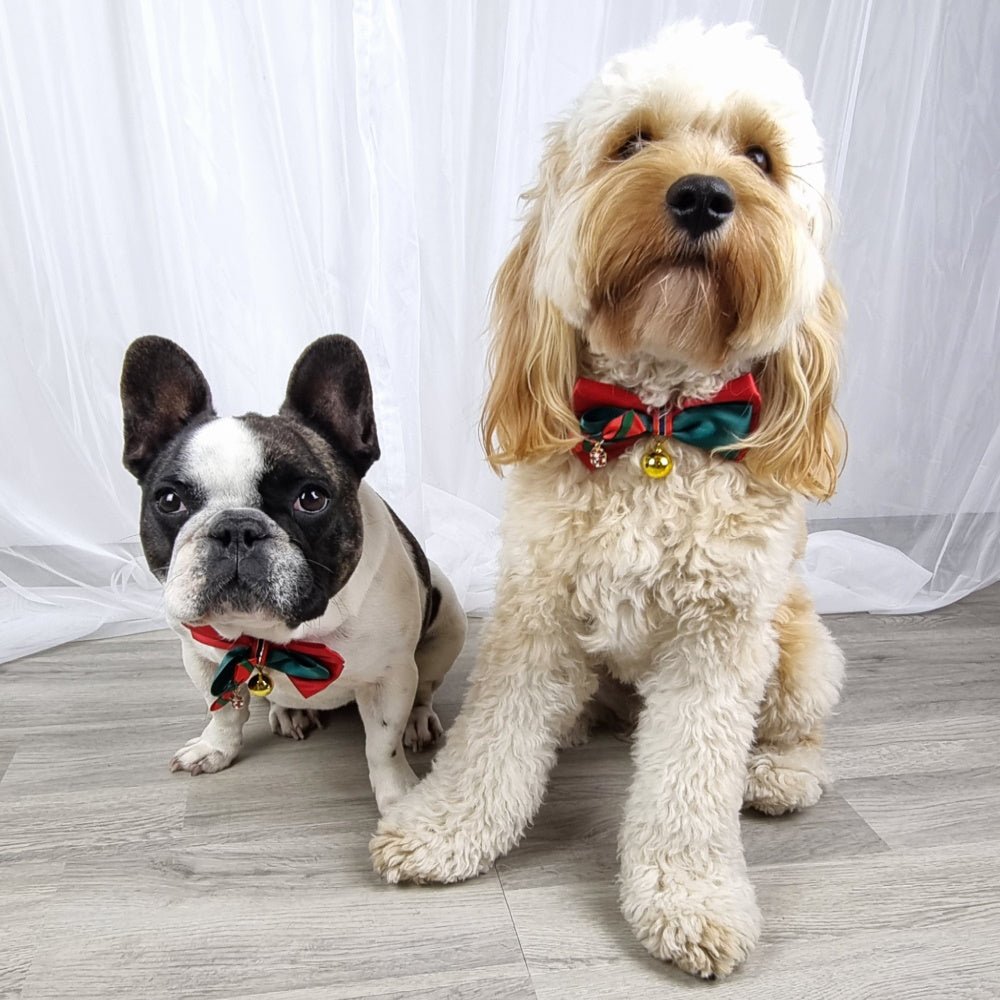 Christmas Present Bow Knot Christmas Collar - Christmas Collar & Bow Ties from Sale at DoggyTopia