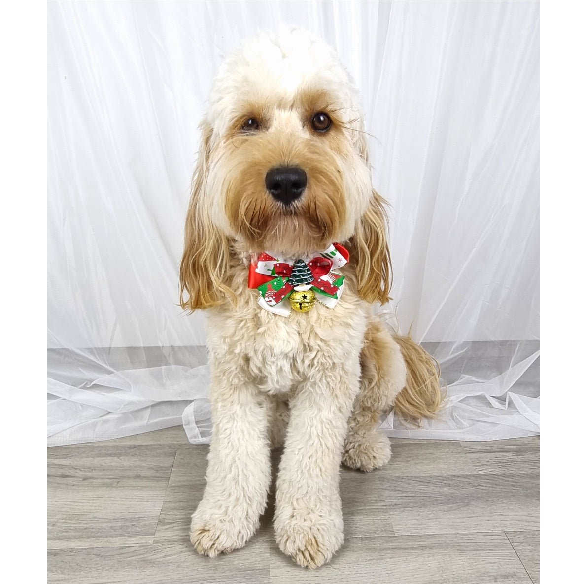 Christmas Tree Bow Knot Collar - Christmas Collar & Bow Ties from Sale at DoggyTopia