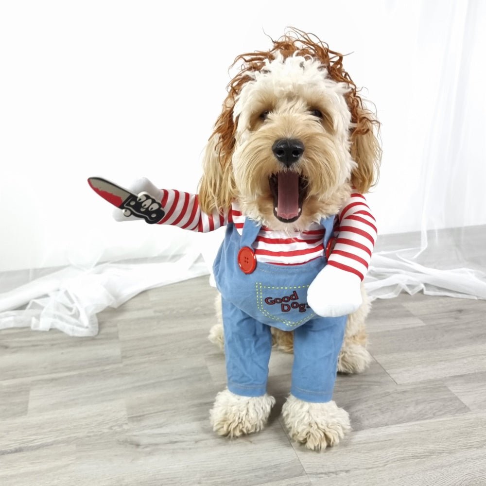 Chucky Dog Costume - Costumes from Halloween at DoggyTopia