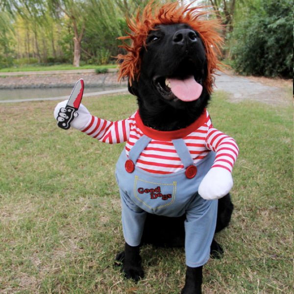 Chucky Dog Costume - Costumes from Halloween at DoggyTopia