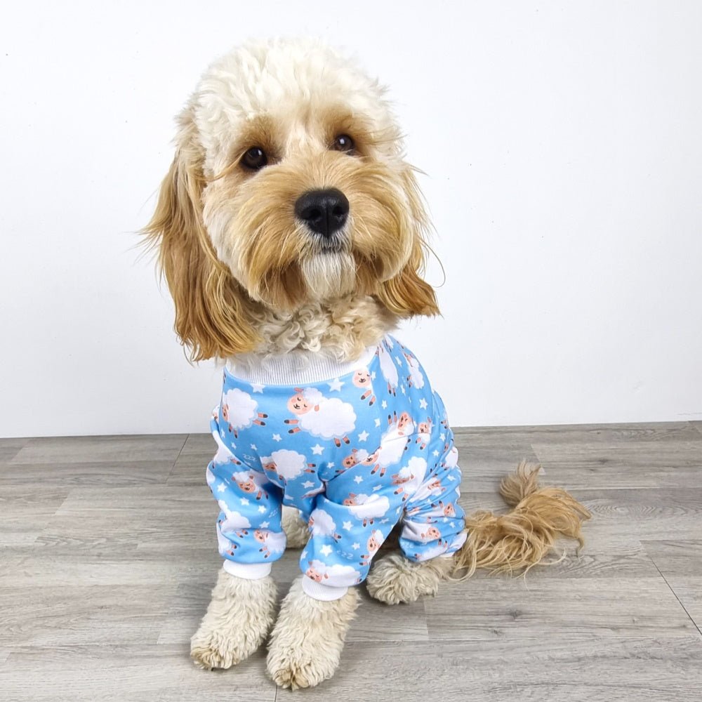 Counting Sheep Dog Pyjamas - Blue - Pyjamas from Sale at DoggyTopia