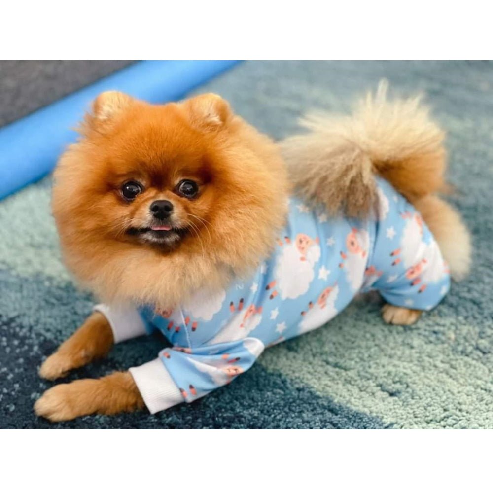Counting Sheep Dog Pyjamas - Blue - Pyjamas from Sale at DoggyTopia