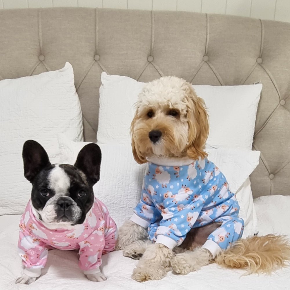 Counting Sheep Dog Pyjamas - Blue - Pyjamas from Sale at DoggyTopia