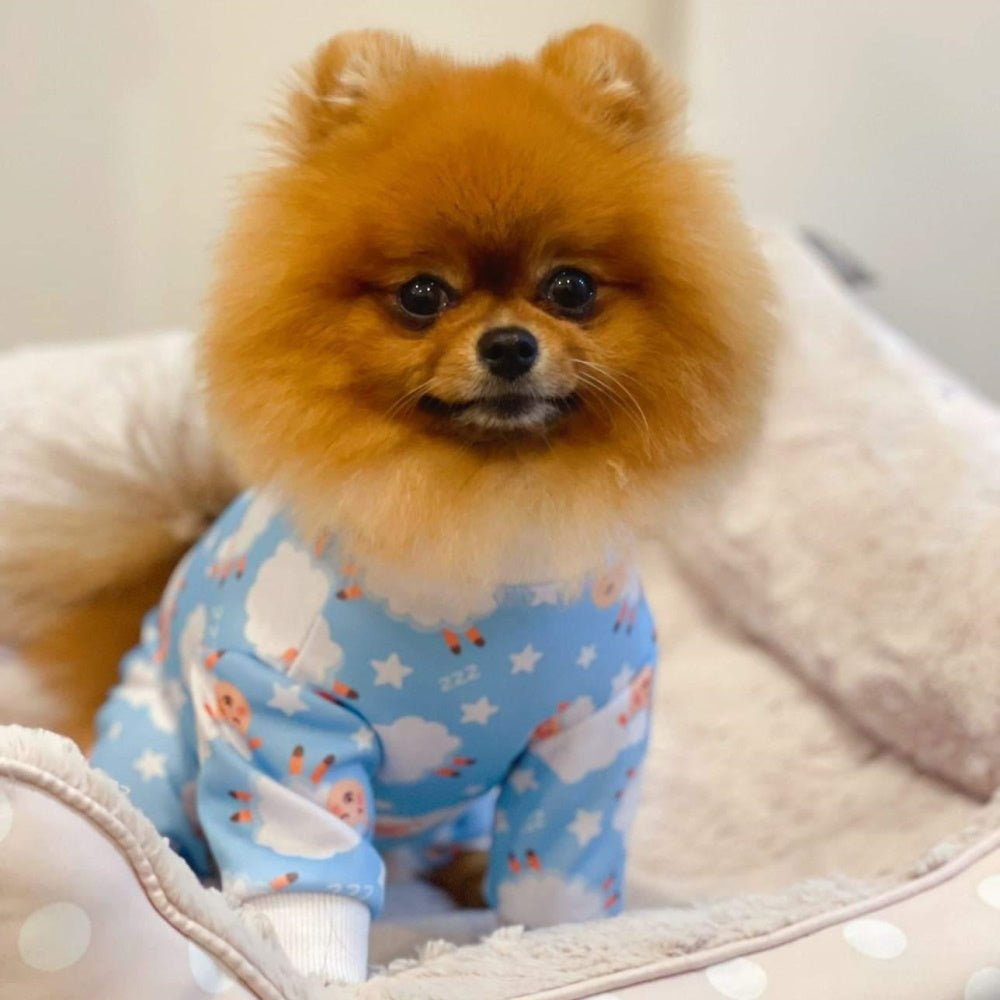 Counting Sheep Dog Pyjamas - Blue - Pyjamas from Sale at DoggyTopia