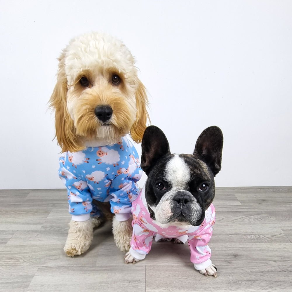 Counting Sheep Dog Pyjamas - Blue - Pyjamas from Sale at DoggyTopia