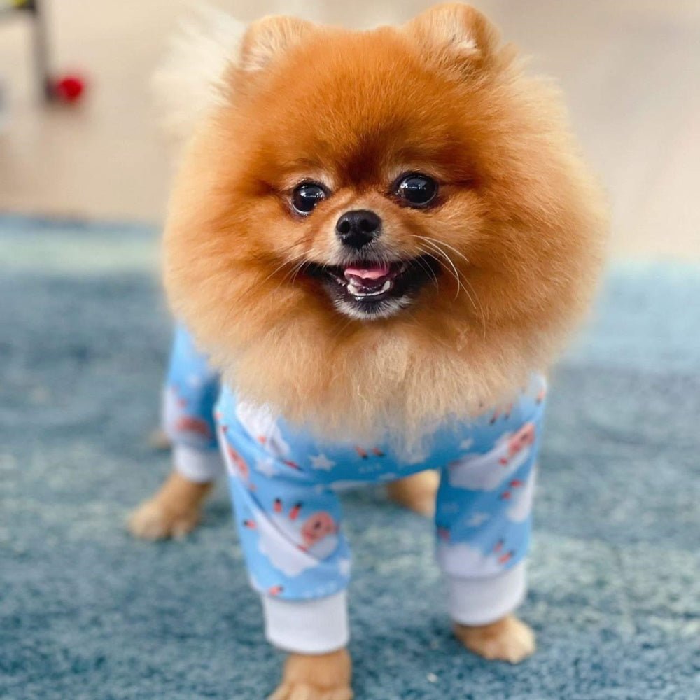 Counting Sheep Dog Pyjamas - Blue - Pyjamas from Sale at DoggyTopia