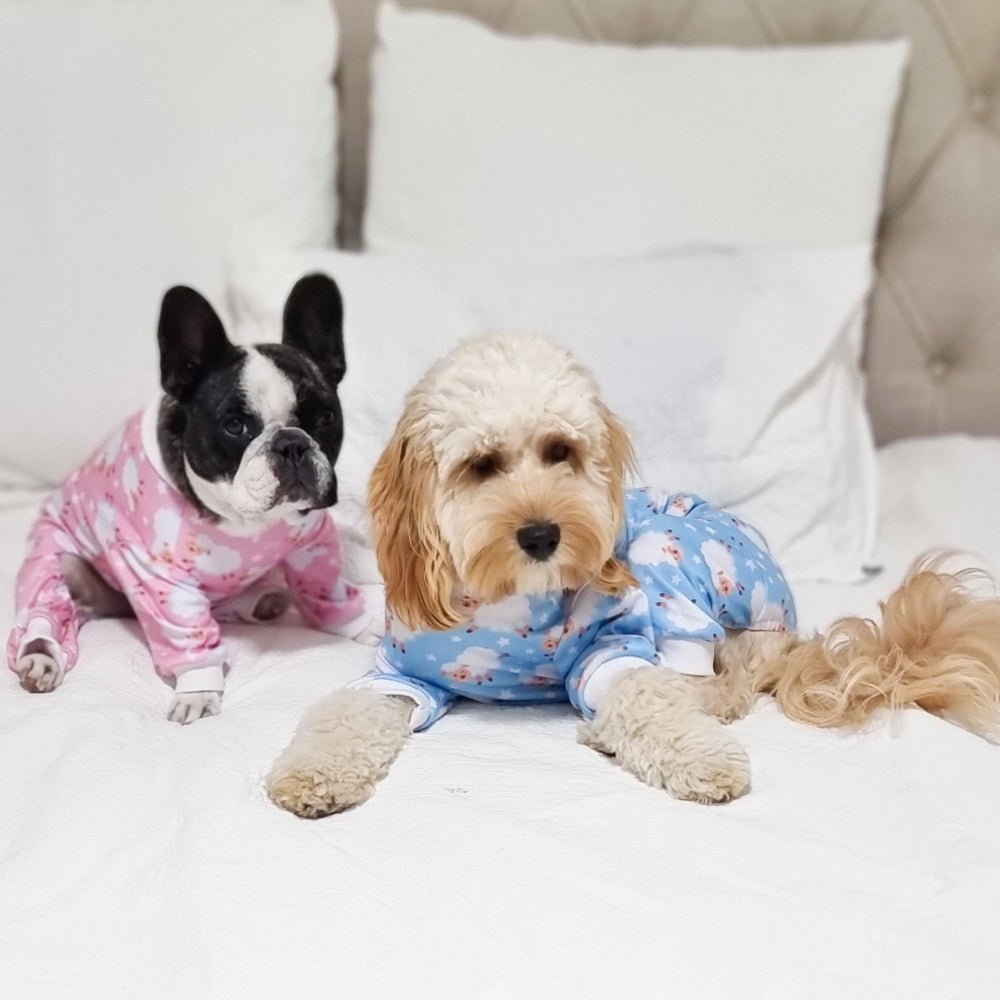 Counting Sheep Dog Pyjamas - Blue - Pyjamas from Sale at DoggyTopia