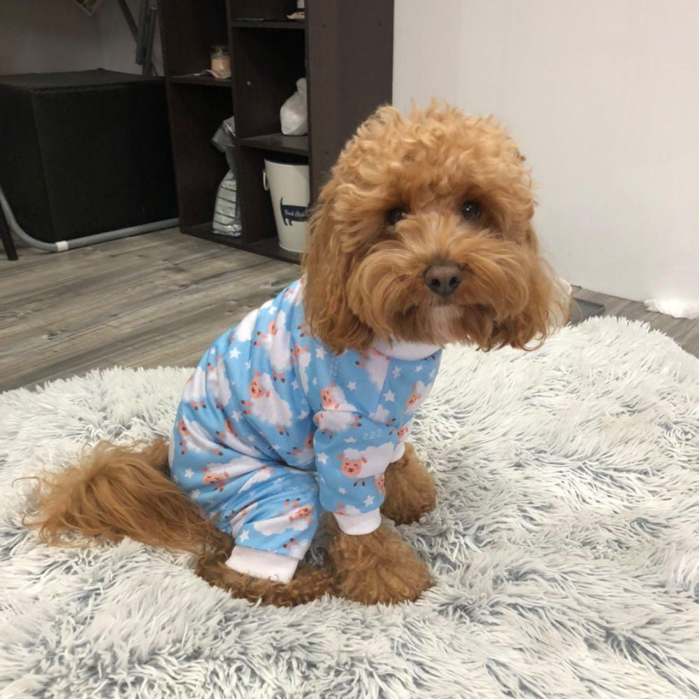 Counting Sheep Dog Pyjamas - Blue - Pyjamas from Sale at DoggyTopia