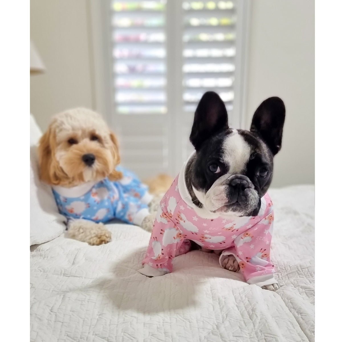 Counting Sheep Dog Pyjamas - Pink - Pyjamas from Sale at DoggyTopia