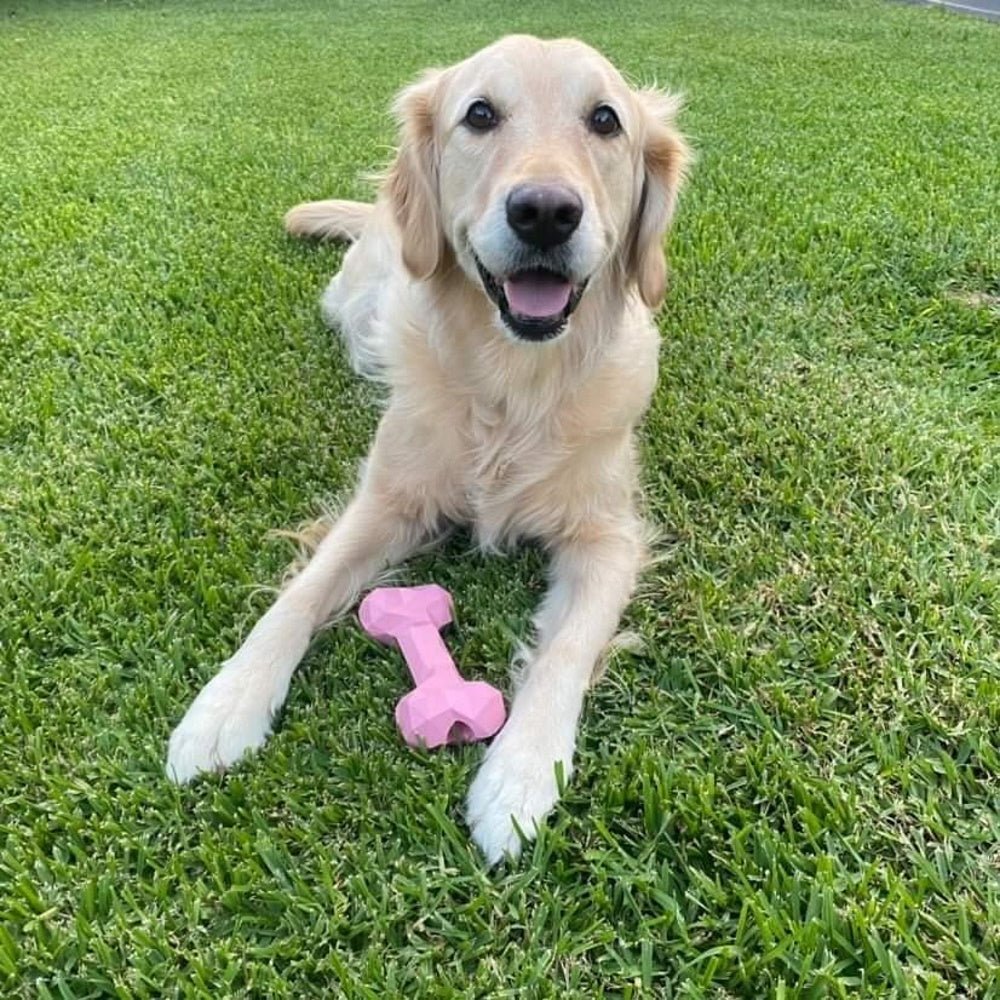 Diamond Rubber Bone - Enrichment Toys from . at DoggyTopia