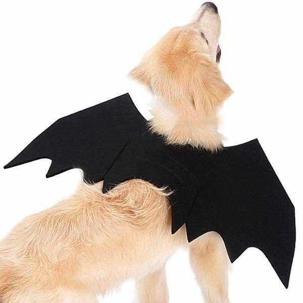 Dog Bat Wings Halloween Costume - Costumes from . at DoggyTopia