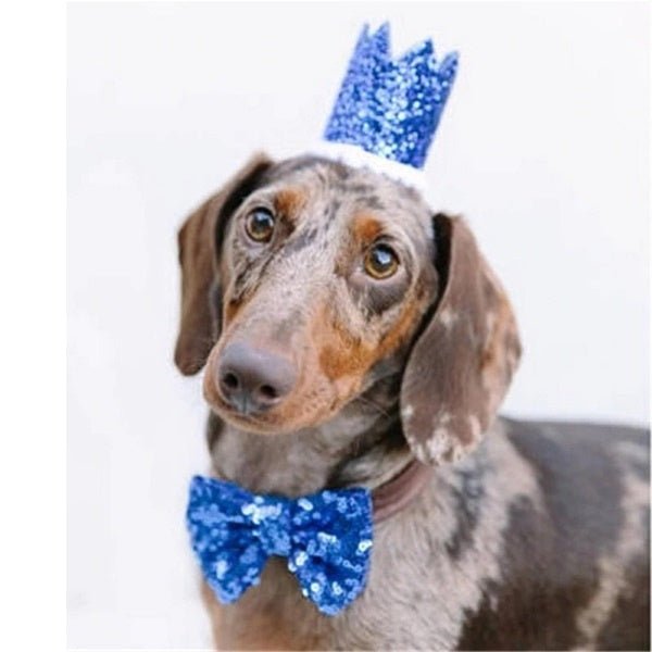 Dog Birthday Crown & Bow Tie Collar - Blue, Custom Age - Dog Party Hats from . at DoggyTopia