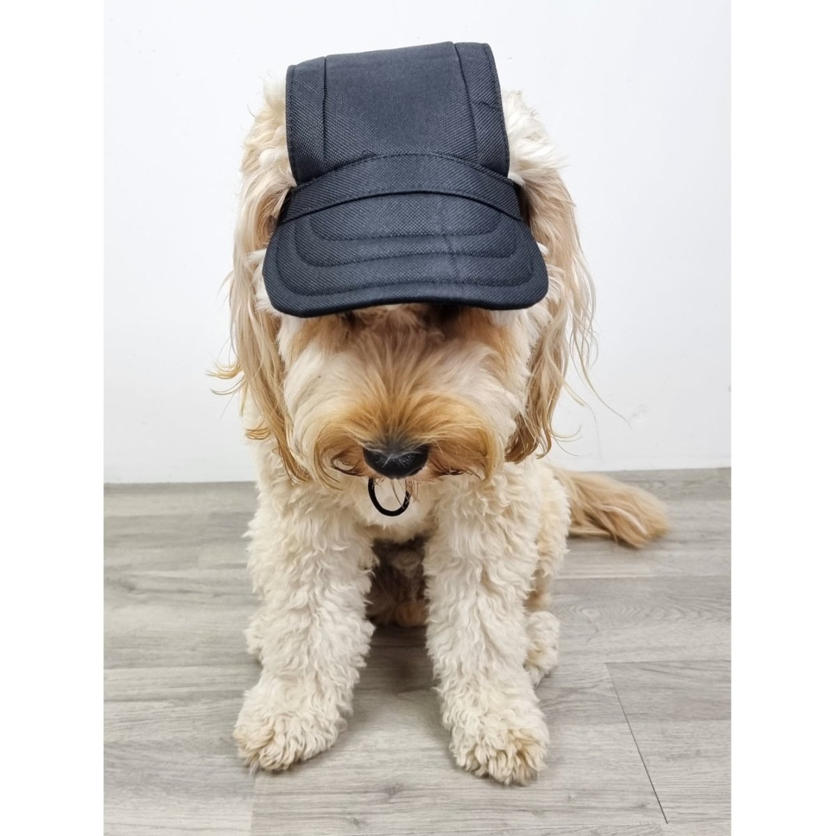 Dog Cap - Black - Dog Hats from . at DoggyTopia