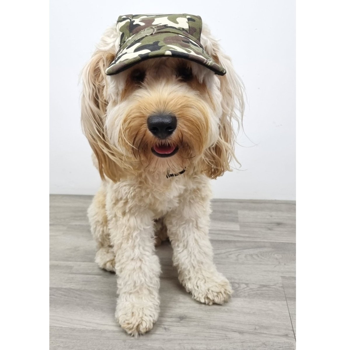 Dog Cap - Camouflage - Dog Hats from . at DoggyTopia