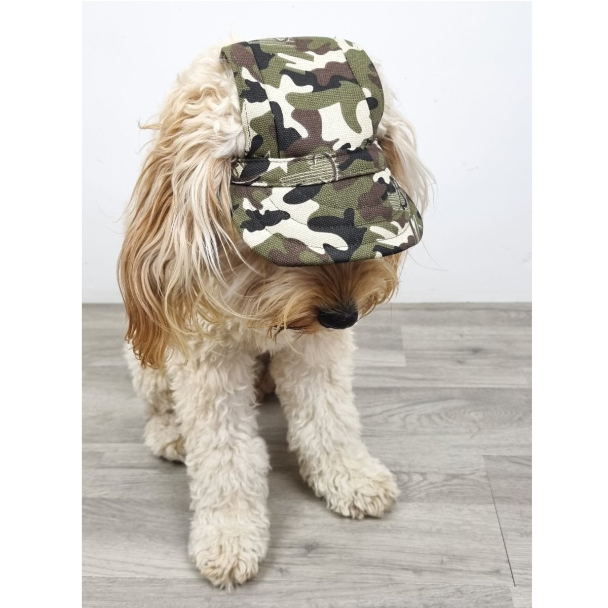 Dog Cap - Camouflage - Dog Hats from . at DoggyTopia