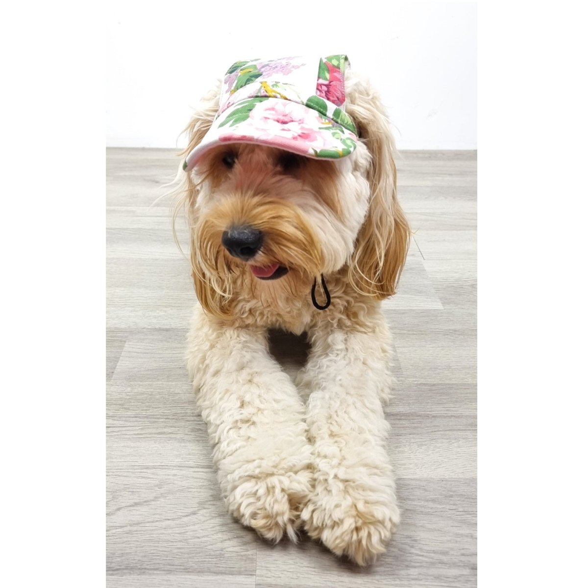 Dog Cap - Floral - Dog Hats from . at DoggyTopia