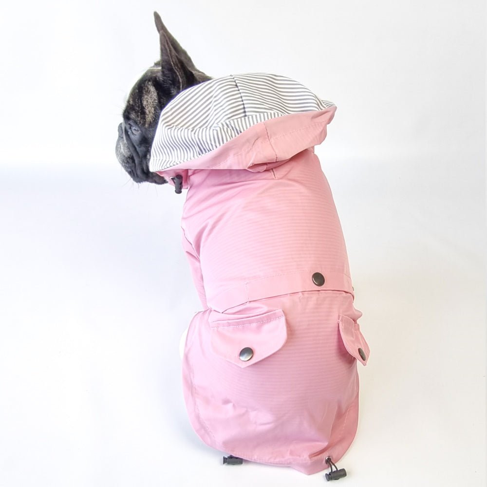Dog Raincoat - Pink - Raincoats from . at DoggyTopia