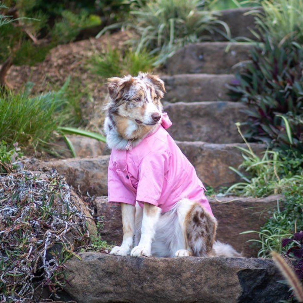 Dog Raincoat - Pink - Raincoats from . at DoggyTopia