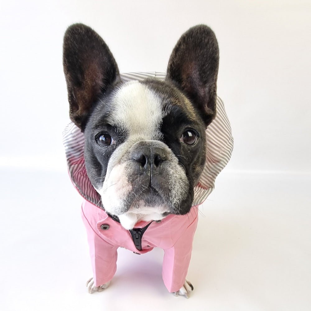 Dog Raincoat - Pink - Raincoats from . at DoggyTopia