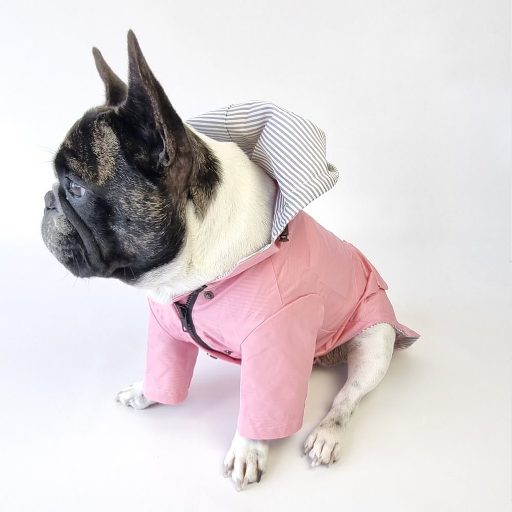 Dog Raincoat - Pink - Raincoats from . at DoggyTopia