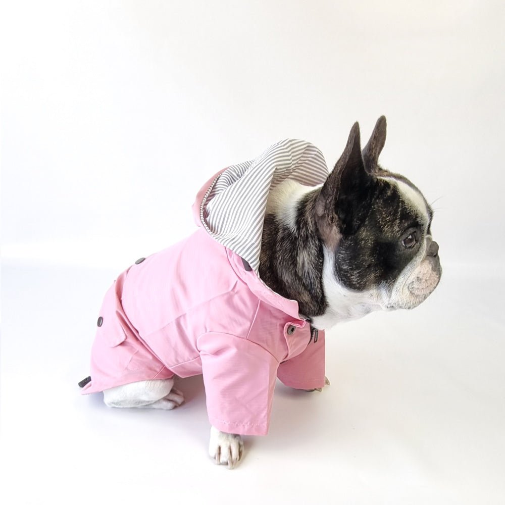Dog Raincoat - Pink - Raincoats from . at DoggyTopia