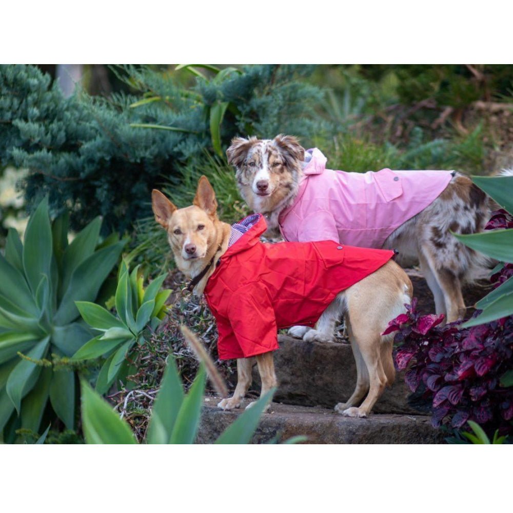 Dog Raincoat - Red - Raincoats from . at DoggyTopia