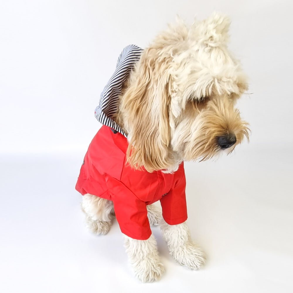 Dog Raincoat - Red - Raincoats from . at DoggyTopia