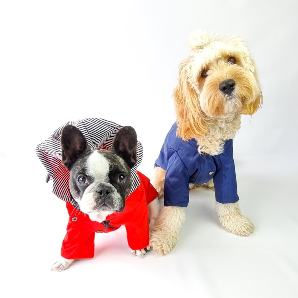 Dog Raincoat - Red - Raincoats from . at DoggyTopia