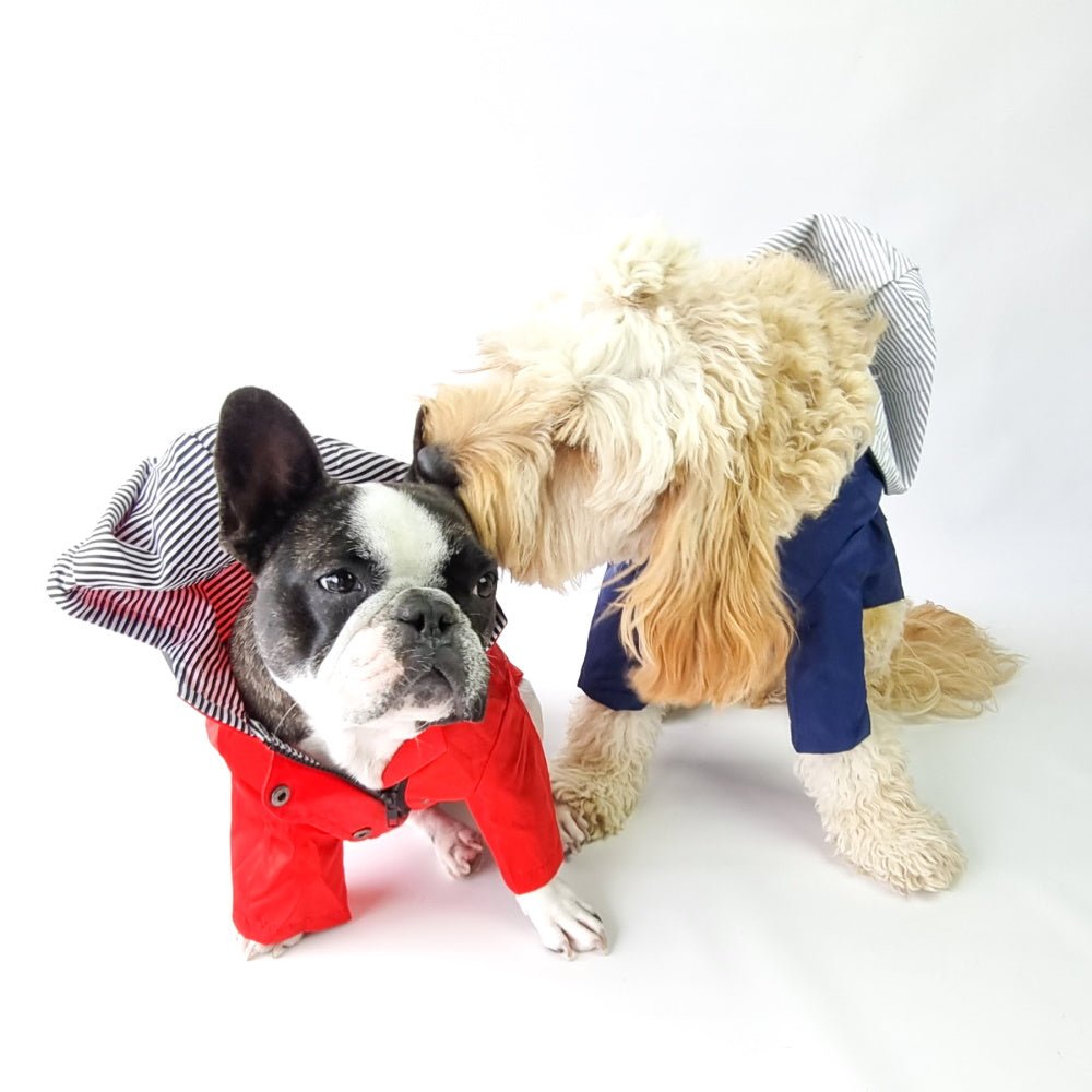 Dog Raincoat - Red - Raincoats from . at DoggyTopia
