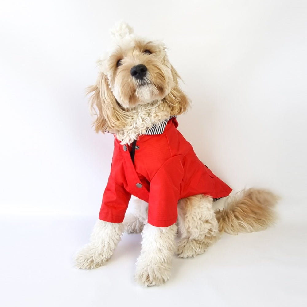 Dog Raincoat - Red - Raincoats from . at DoggyTopia