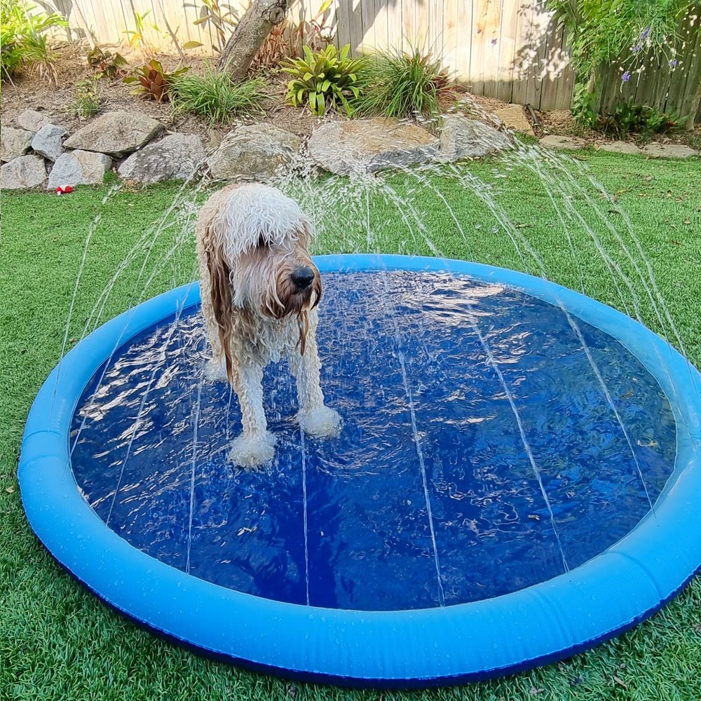 Dog Sprinkler Splash Mat - Splash Mat from . at DoggyTopia