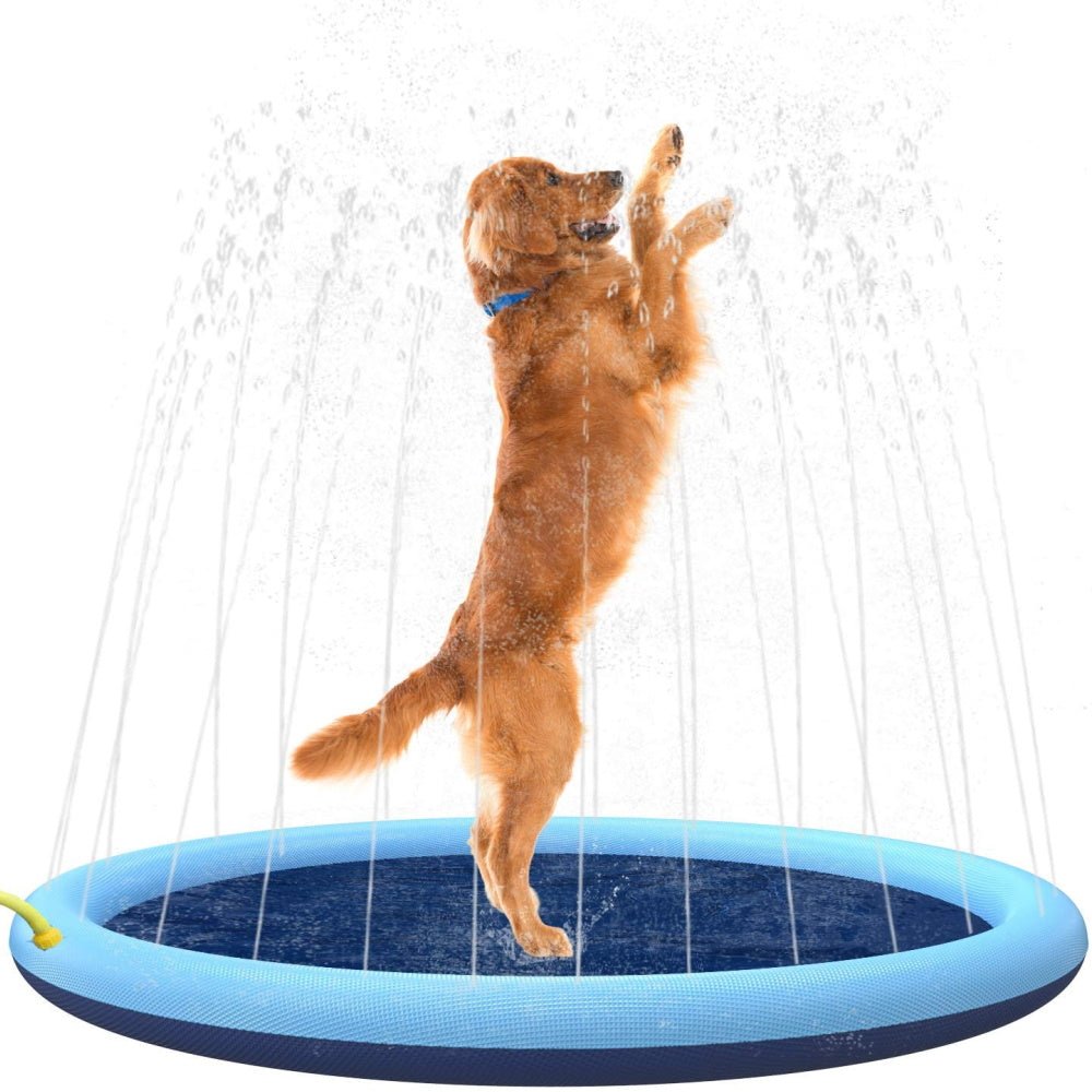 Dog Sprinkler Splash Mat - Splash Mat from . at DoggyTopia