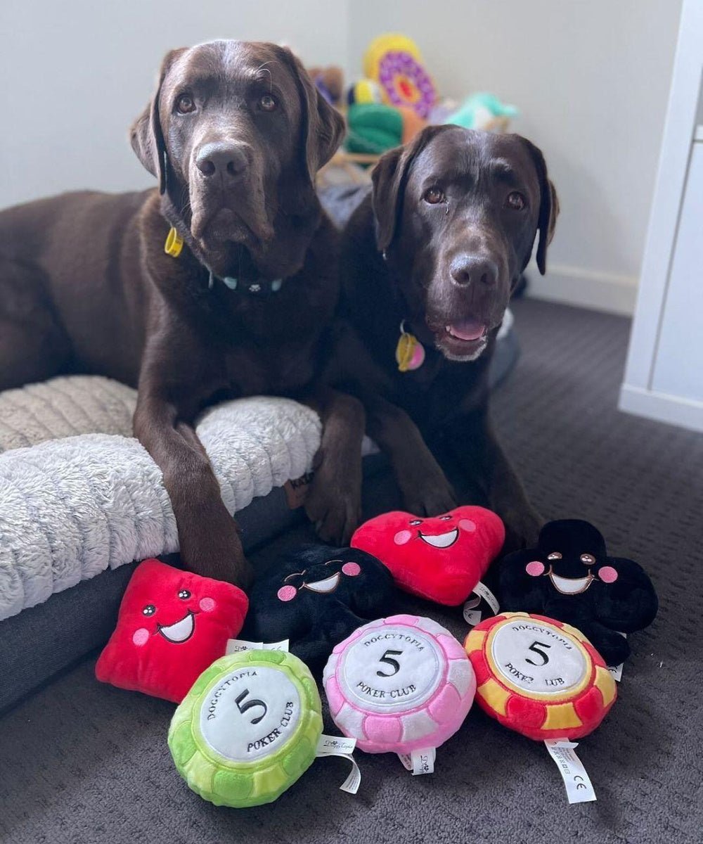DoggyTopia Poker Club - Poker Chips Dog Toy Pink - Plush Toys from Sale at DoggyTopia
