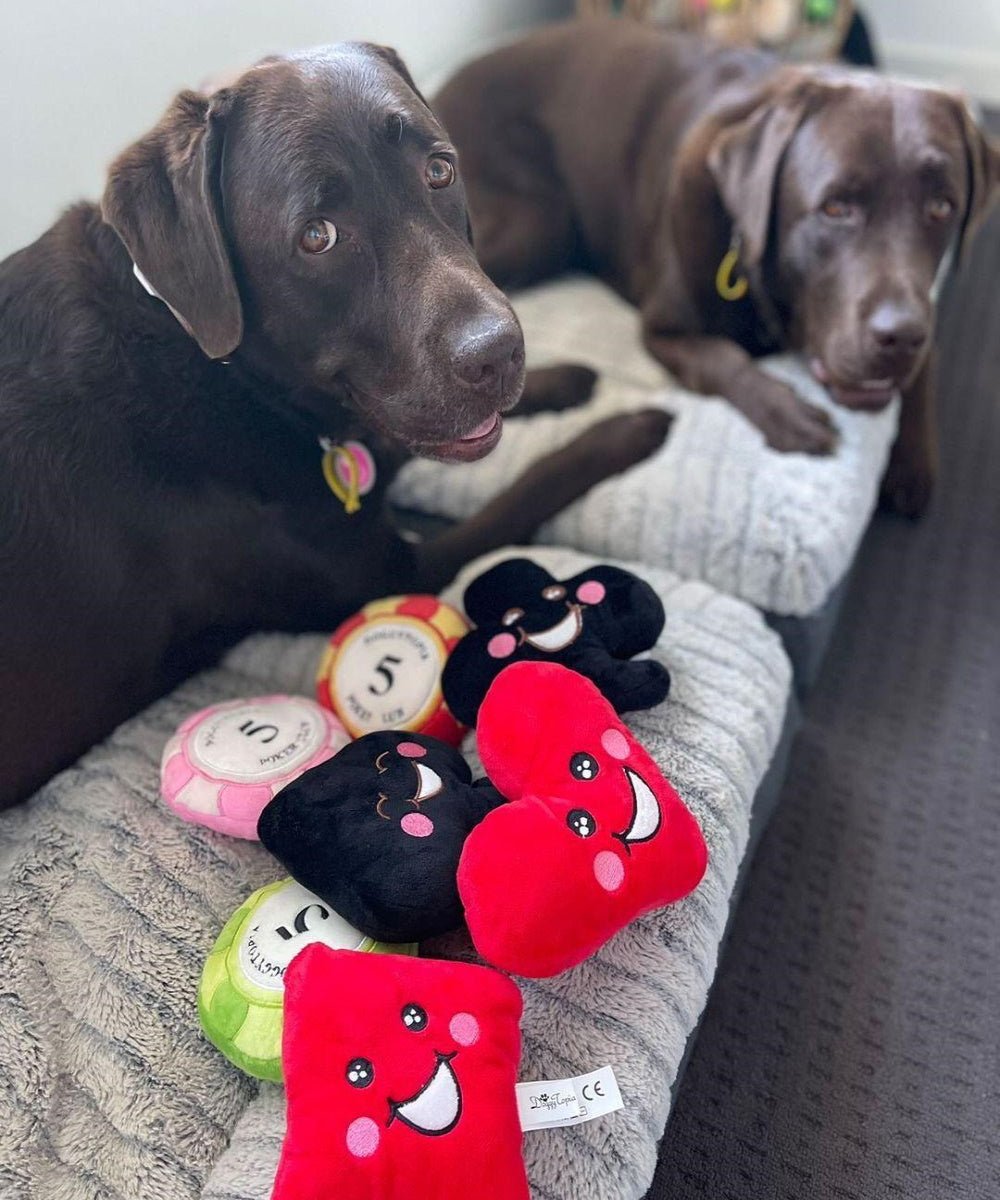 DoggyTopia Poker Club Spades Poker Dog Toy - Plush Toys from Sale at DoggyTopia
