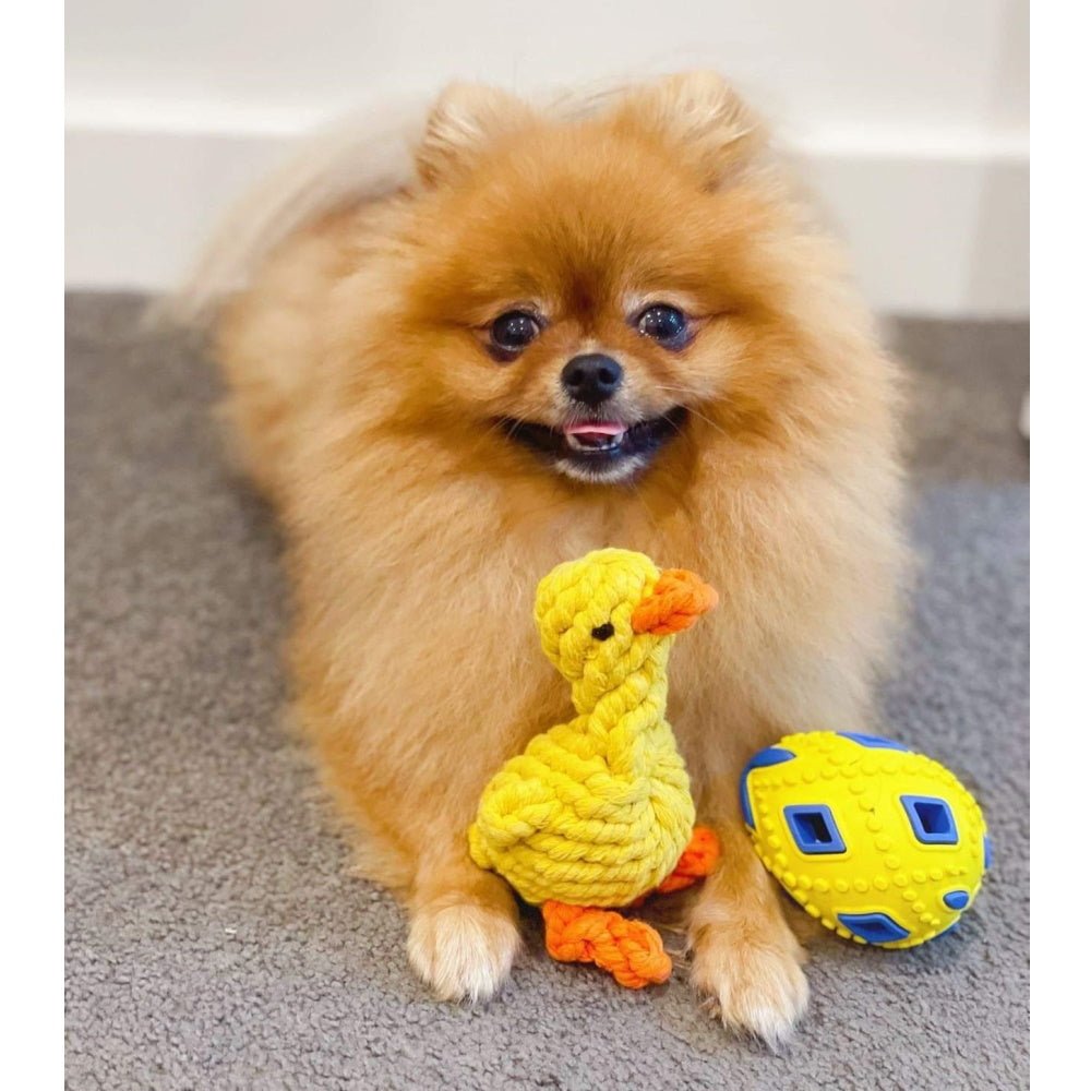 Duck Rope Dog Toy - Rope Toys from . at DoggyTopia