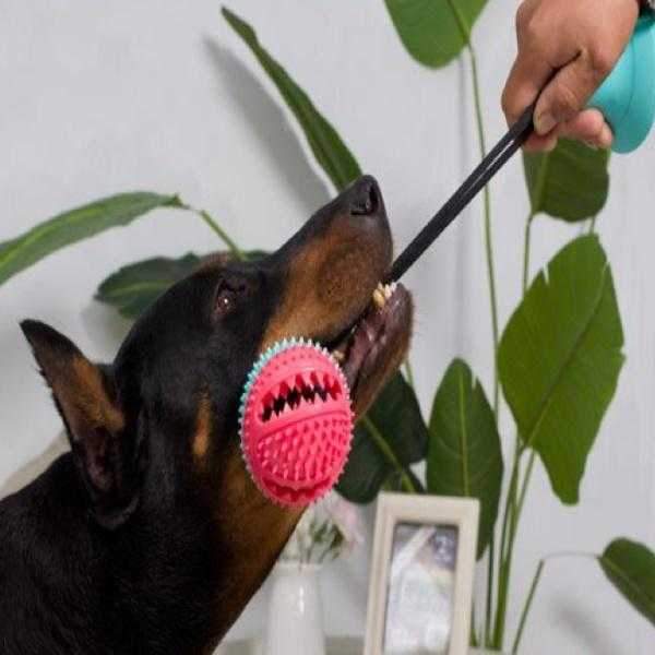 Enrichment Ball Suction Tug Toy - Suction Enrichment Toys from . at DoggyTopia